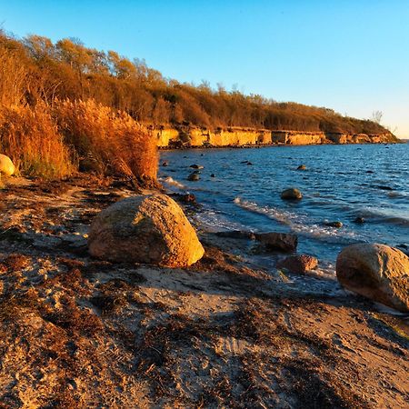 Daenische Ferienhaeuser Am Salzhaff Haus Pacific Insel Poel Dış mekan fotoğraf