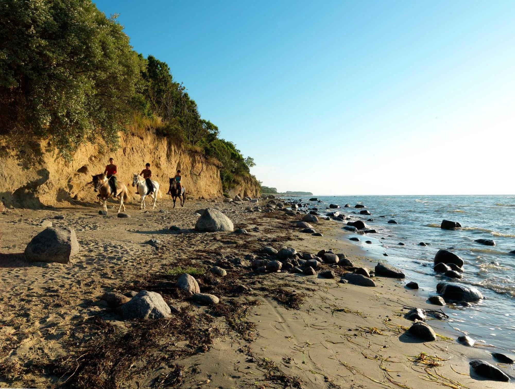 Daenische Ferienhaeuser Am Salzhaff Haus Pacific Insel Poel Dış mekan fotoğraf